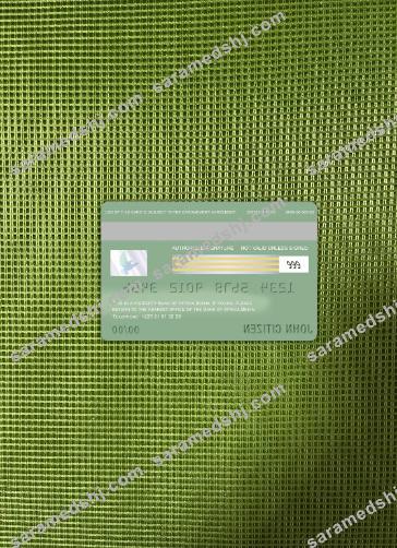 Benin bank of Africa visa card photolook back